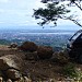 Cebu Mountain View Estates in Cebu City city