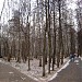 Измайловский парк в городе Москва