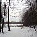 Измайловский парк в городе Москва