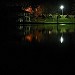 Padurea-parc 