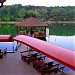 Padurea-parc 