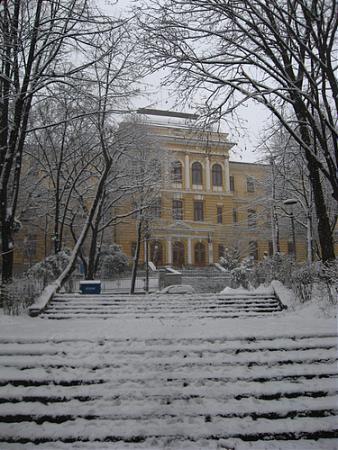 Colegiul Costache Negruzzi Iasi Scoală Gimnaziu Liceu