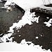 Выход из коллектора и устье притока Раменки (ru) in Moscow city