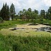 Приютинский пруд в городе Всеволожск