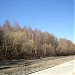 Остатки заповедного Дьяковского леса (Заразы) в городе Москва