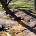 Памятник природы «Группа родников под храмом Вознесения Господня» в городе Москва