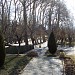 Sejfije Park in Malayer city