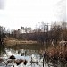 Заболоченный пруд в пойме реки Очаковки в городе Москва