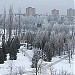 Jaunimo parkas (lt) in Alytus city