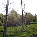 Неблагоустроенная часть парка «Удальцовские пруды» в городе Москва