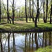 Первый Воронцовский пруд в городе Москва