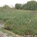 Здесь раньше находилась болотистая местность в городе Москва