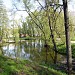 Первый Воронцовский пруд в городе Москва