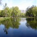 Третий Воронцовский пруд в городе Москва