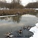 Памятник природы «Долина реки Яузы от Кольской ул. до пр. Русанова» (ru) in Moscow city