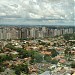 Bigorrilho na Curitiba city