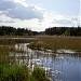 Озеро в городе Вильнюс