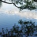 Озеро Бальсис в городе Вильнюс