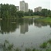 Большой Очаковский пруд в городе Москва