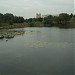 Большой Очаковский пруд в городе Москва