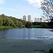 Богатырский пруд в городе Москва