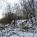 Бывший заболоченный левый берег реки Сетуни (ru) in Moscow city