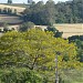 Nascente do Córrego Coruja na Rolândia city