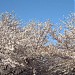 芹ヶ谷公園 in 町田市 city