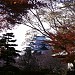 Nagoya Castle in Nagoya city