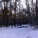 Рублёвский лес в городе Москва