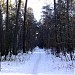 Просека (ru) in Moscow city