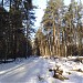 Просека от коттеджного поселка «Троице-Лыково» до Крылатской улицы (ru) in Moscow city