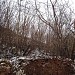 Овраг на месте бывшего пруда (ru) in Moscow city