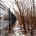 Овраг на месте бывшего пруда (ru) in Moscow city