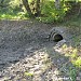В этом месте сточные воды впадали в р. Яузу в городе Москва