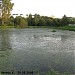 Пруд в селе Котово в городе Долгопрудный