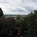 Бузок в місті Київ