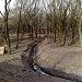 Остров на реке Очаковке в городе Москва