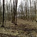Просека от забора ЛИИ Метрополитена до МКАД в городе Москва