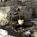 Исток Кукринского ручья в городе Москва