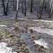 Долина реки Очаковки от слияния истоков до Тропарёвского пруда в городе Москва