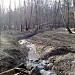 Долина реки Очаковки от слияния истоков до Тропарёвского пруда в городе Москва
