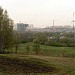 Поляна в городе Москва