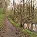 Старица реки Сходни в городе Москва