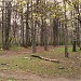 Парк «Братцево» в городе Москва