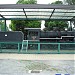 C50-75 Steam Locomotive on display in Tokyo city