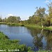 Пруд в Новодмитровке в городе Москва