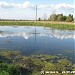 Заболоченный пруд в городе Москва