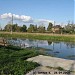 Заболоченный пруд в городе Москва