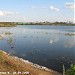 Восточный (Верхний) Бурцевский пруд в городе Москва